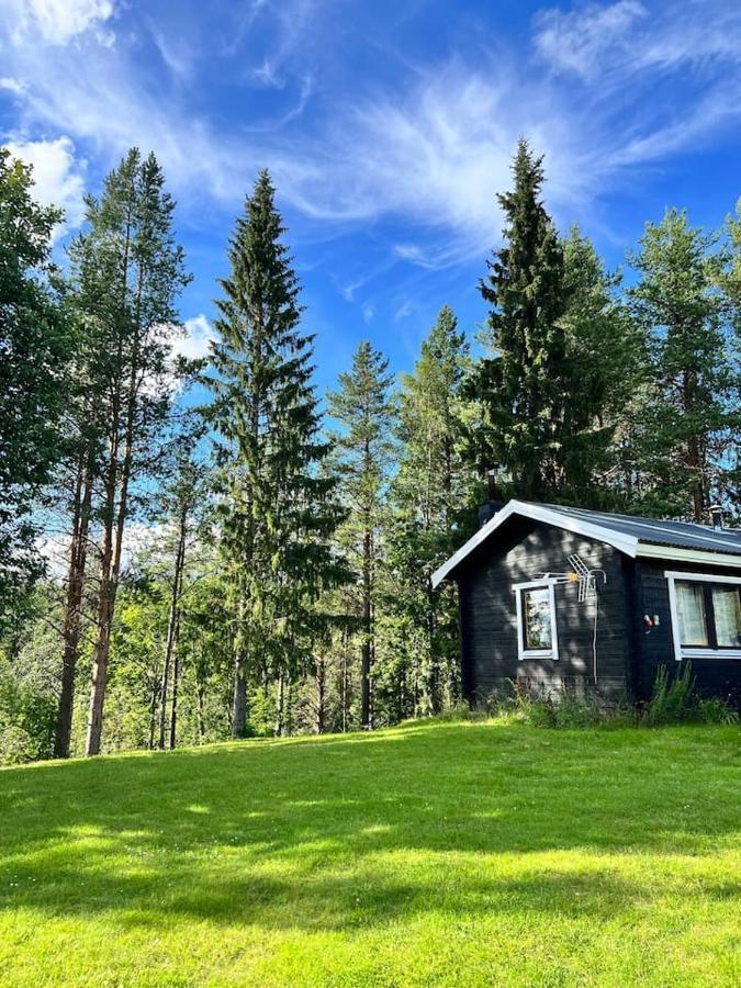 Gemuetliches Blockhaus Im Wald Vila Auktsjaur Exterior foto